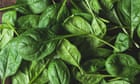 Recall extended over spinach contamination caused by leafy green ‘weed’ on Victorian farm