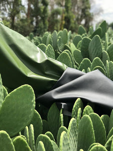 Sustainable Design: Vegan Leather Made from Cactus