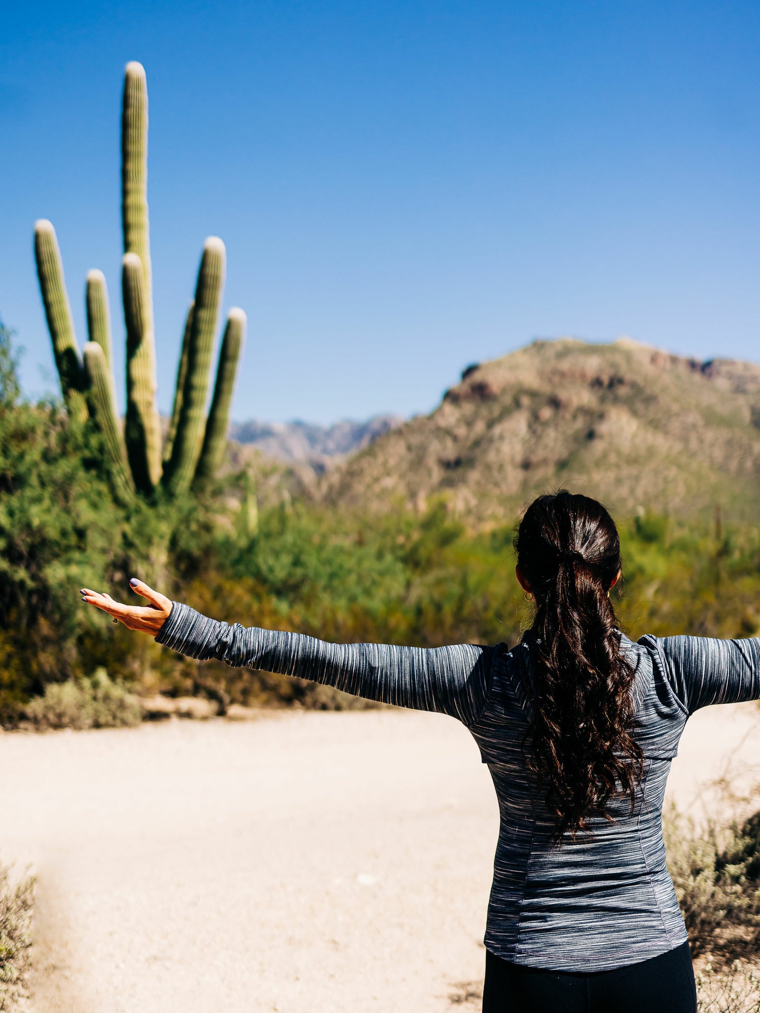 Best hiking trails in Tucson