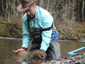 One of three steelhead hooked in front of a root wad, this 8-pounder went airborne time and again to throw the hook.