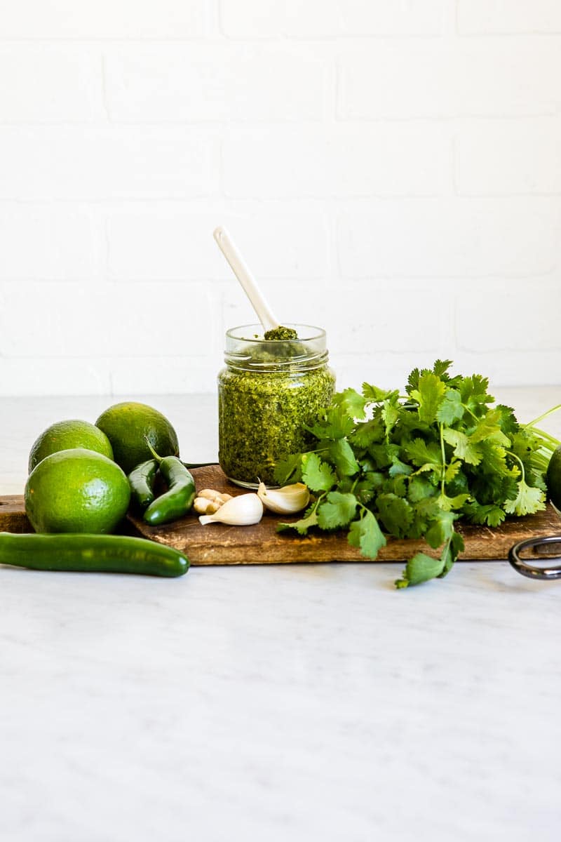 Spicy Cilantro Pesto