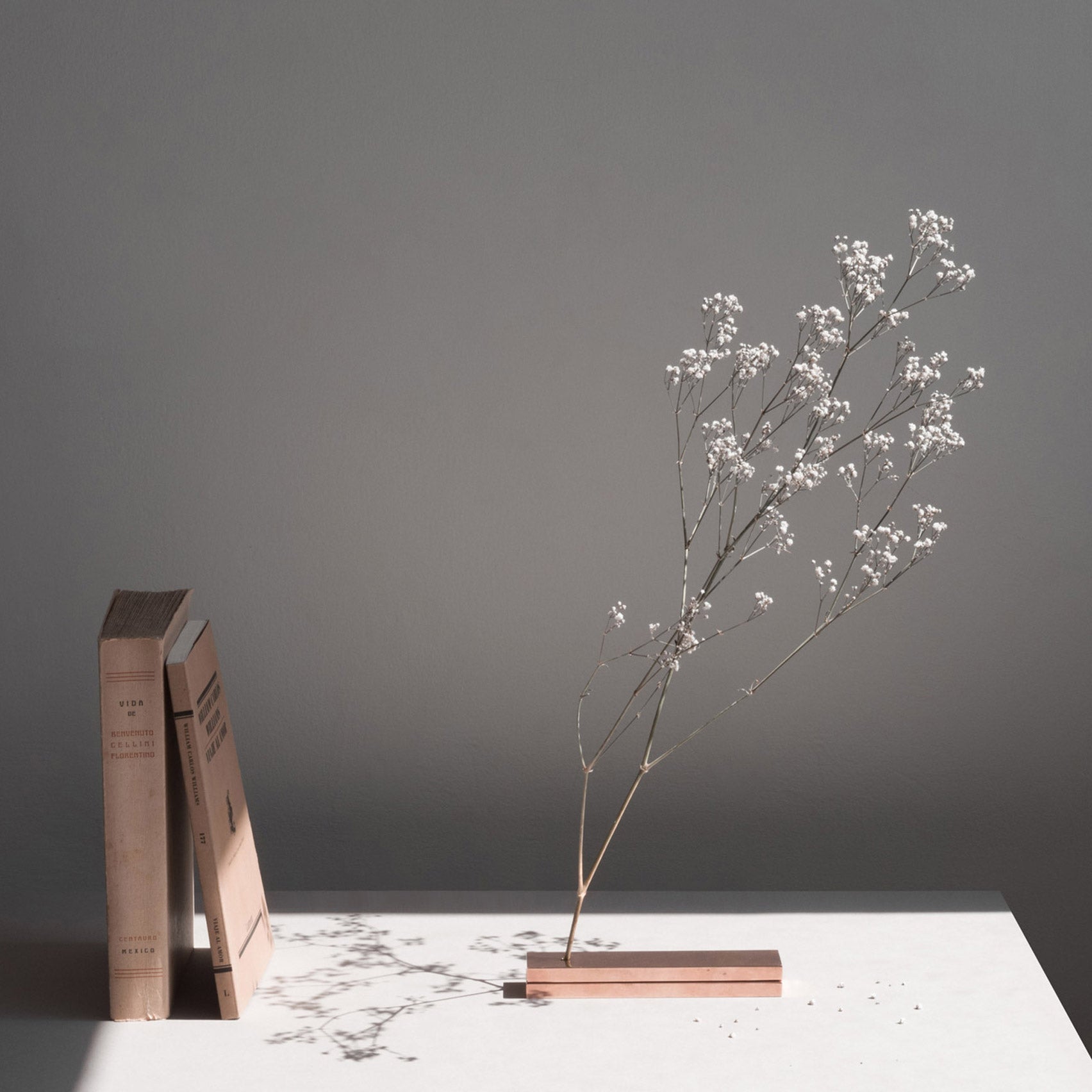 Moisés Hernández’s No Vase displays flowers without a container