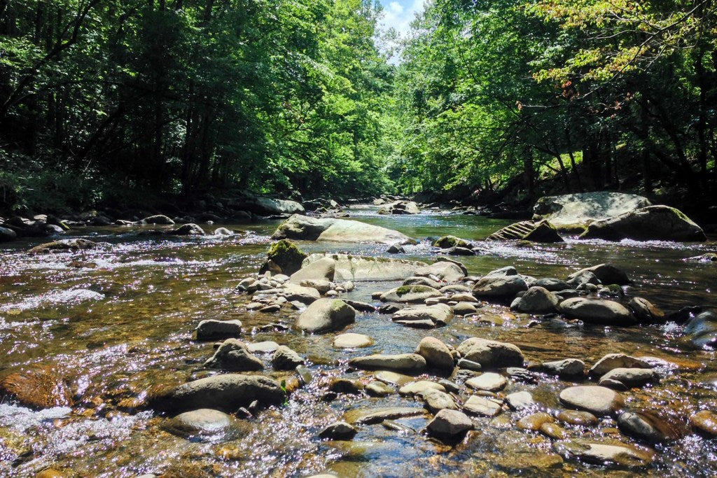 A beginner’s guide to visiting Great Smoky Mountains National Park