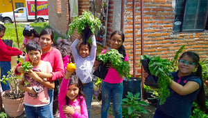 From floating islands to abandoned lots: urban gardening in Mexico