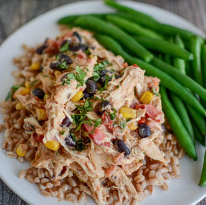 Slow Cooker Creamy Mexican Chicken