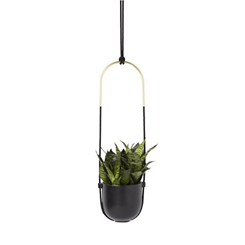 Umbra Bolo Wall and Ceiling Planter – Hanging Flower Pot Plant Holder for Wall and Ceiling, Great for Live Plants, Succulent Plants, Air Plants, Cactus, Faux Plants and More, Black Ceramic / Brass