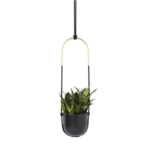 Umbra Bolo Wall and Ceiling Planter – Hanging Flower Pot Plant Holder for Wall and Ceiling, Great for Live Plants, Succulent Plants, Air Plants, Cactus, Faux Plants and More, Black Ceramic / Brass