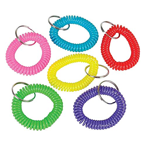 Kicko 2.5 Inch Spiral Keychain - 12-Pack Wristlet Key Holder - Keyring for Bag and Belt Loop Accessory, Back to School Item, Arts and Crafts, Educational Tool, Party Favors