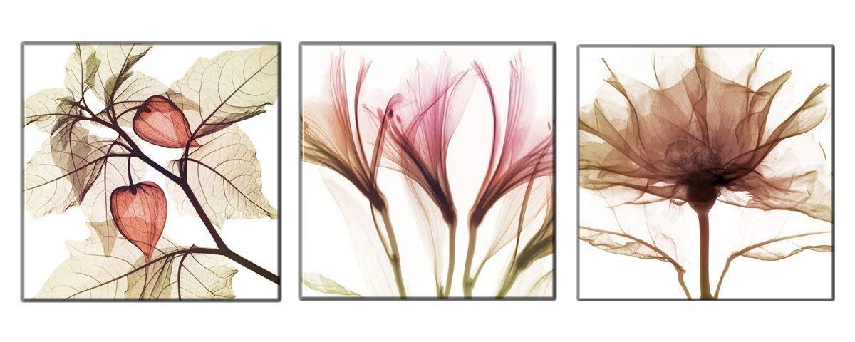 Oversize Canvas Wall Art Abstract Brown Flowers Canvas Print - Large 20" x 20" x 3 Panels Pictures Paintings on Canvas Wall Art Floral Artwork for Living Room Home Decorations