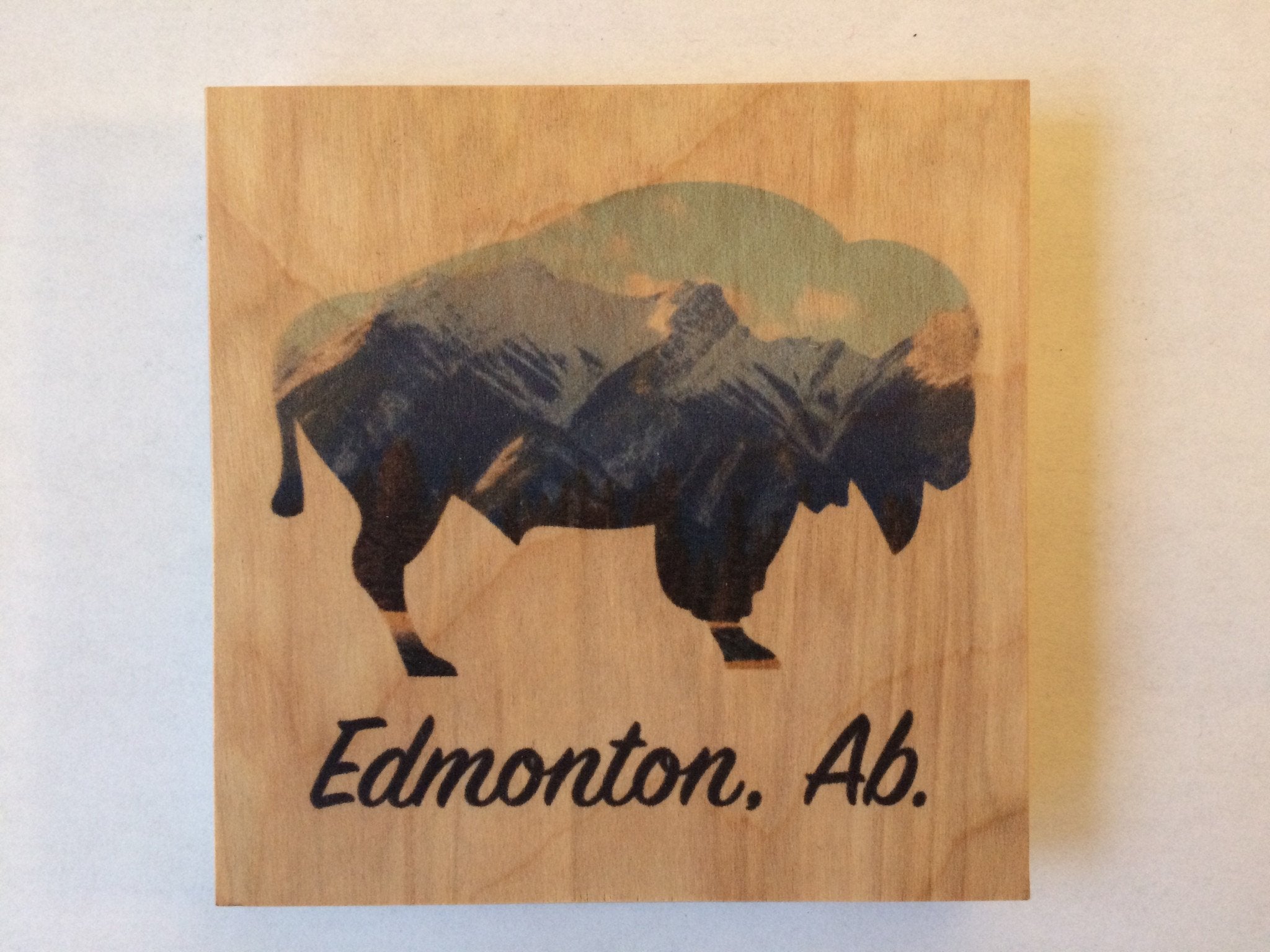 Clearance: Edmonton Bison Silhouette
